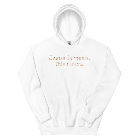 Experience the Power of the Jesus is Risen Hoodie!